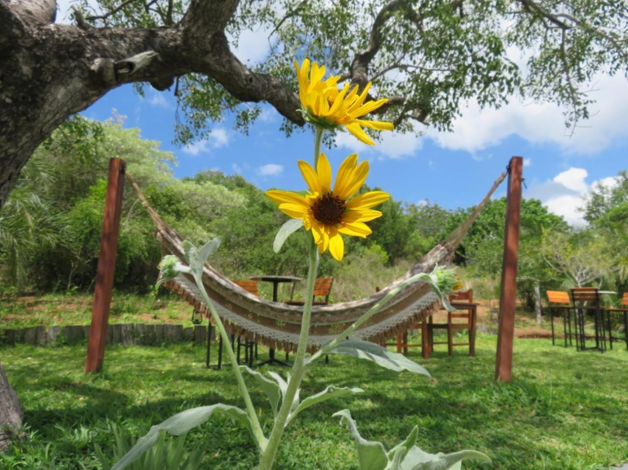 Naara Eco Lodge & Spa ชิเดงเกลิ ภายนอก รูปภาพ